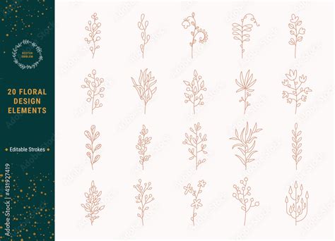 Floral thin line vector illustrations clip art collection. Botanical ...