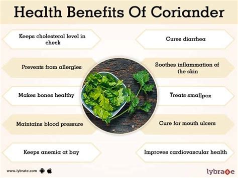 Benefits of CoriAnder And Its Side Effects | Lybrate