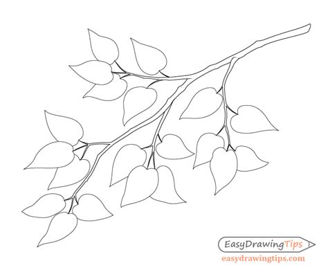 How to Draw a Tree Branch With Leaves - EasyDrawingTips