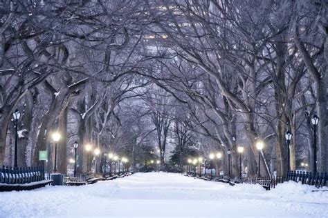 Central Park in Winter Guide | The Best Central Park Snow Day Spots