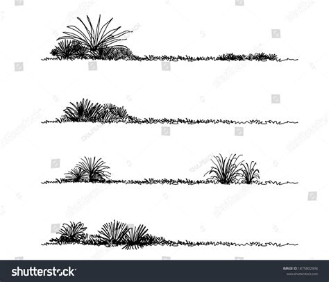 Grass Sketch Landscape Architecture Drawing Stock Vector (Royalty Free ...