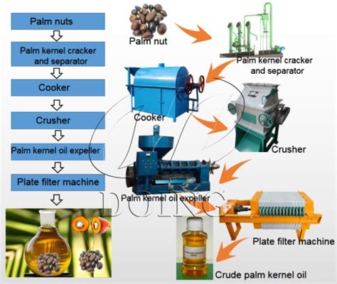 How is palm kernel oil produced?_Palm Oil Extraction FAQ