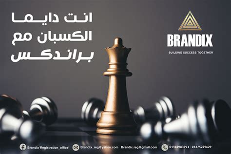 BRANDIX on Behance