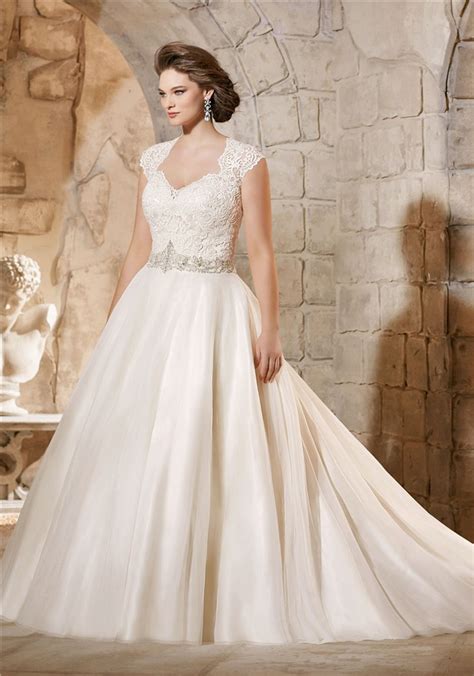 Ball Gown Queen Anne Neckline Illusion Back Tulle Plus Size Wedding Dress