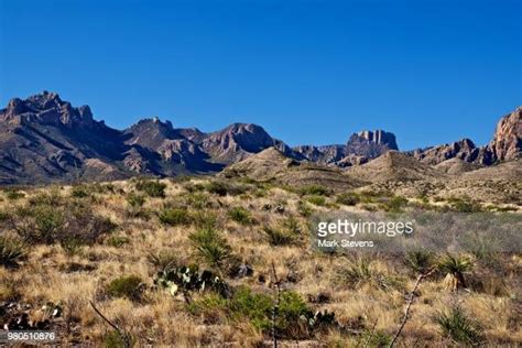 436 Chisos Mountains Stock Photos, High-Res Pictures, and Images ...