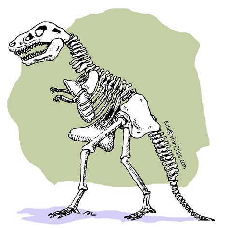 Dinosaur Skeleton Clip Art