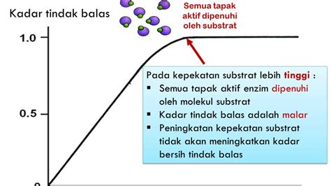 Biologi Tingkatan Kepekatan Substrat Dan Enzim Youtube | Hot Sex Picture