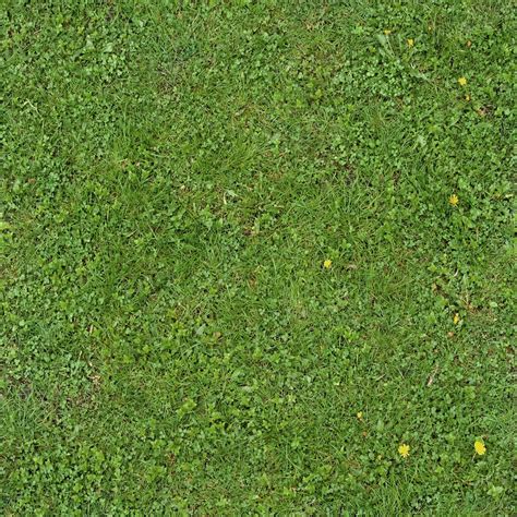 Seamless Green Grass Texture 01 by goodtextures on DeviantArt