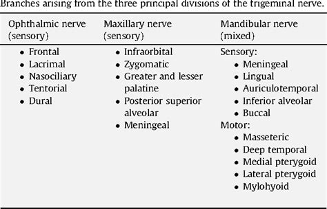 Anatomy Of Trigeminal Nerve - Anatomical Charts & Posters