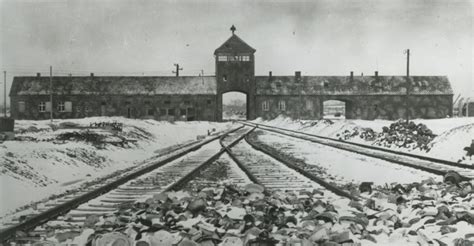 Auschwitz History: An Introduction