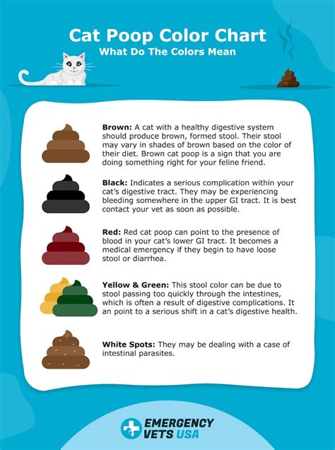 color of your poop chart stool color changes and chart what does it ...