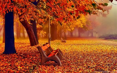 Autumn November Wallpapers - Wallpaper Cave