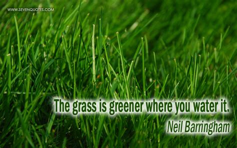 Grass Is Greener Quotes. QuotesGram