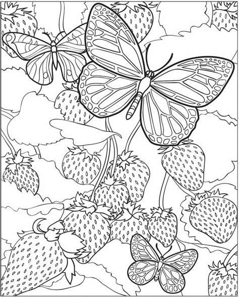 Butterfly Coloring Pages For Adults Best Coloring Pages For Kids