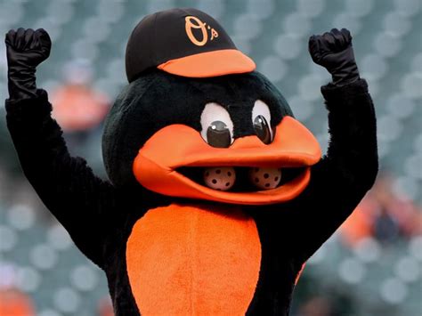 Doreen Carr Rumor: Orioles Bird Name Mascot