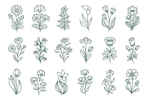 Floral line art set, linear botanical vector design elements. Flower ...