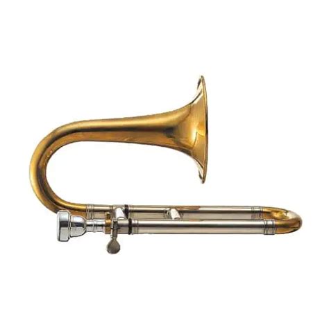 Discover The Different Trombone Types | Ted's List