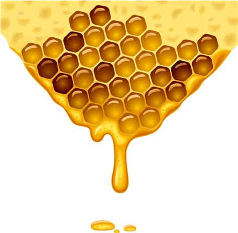 Honeycomb Png Images Transparent Free Download