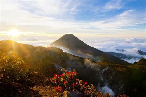 Exploring Gunung Gede Volcano & Park in Indonesia