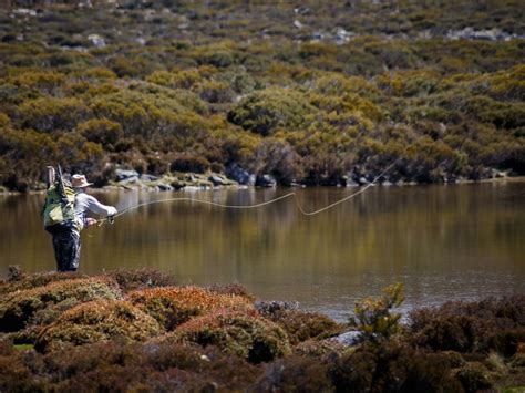 Fishing near me - Inland Fisheries Service