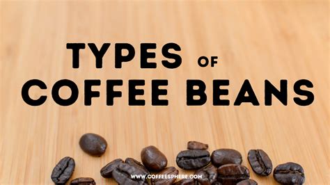 Types Of Coffee Beans: 4 Varieties You Need To Know