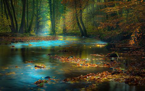 1440x900 River Sunbeam Autumn 4k Wallpaper,1440x900 Resolution HD 4k ...