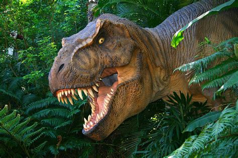 Tyrannosaurus Rex Might Have Accidentally Helped Fruit concernant ...