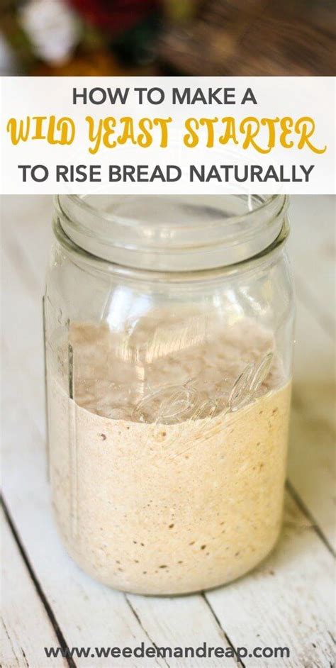 How to Make a Wild Yeast Starter for Naturally Rising Bread