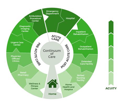 Continuum Of Care Model Diagram