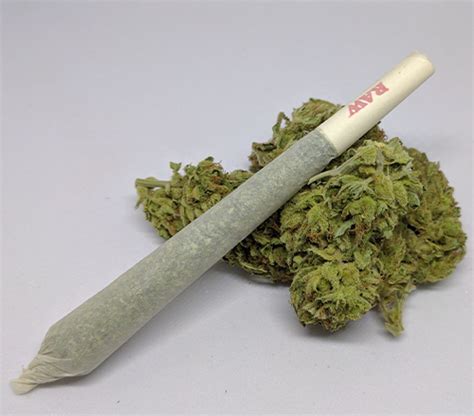 Joint Filters - A Cleaner, Better Tasting Hit - Marijuana Science