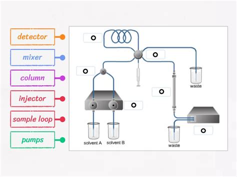 HPLC Instrumentation (Labelling) - Labelled diagram