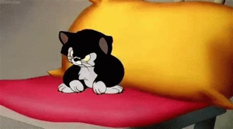 Cat Annoyed GIF - Cat Annoyed Grumpy - Discover & Share GIFs