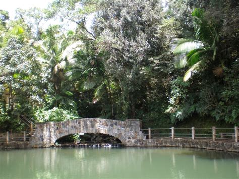 El Yunque Rainforest, Puerto Rico - Cosmos Mariners: Destination Unknown