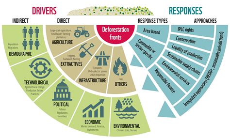 Causes Of Deforestation Graph