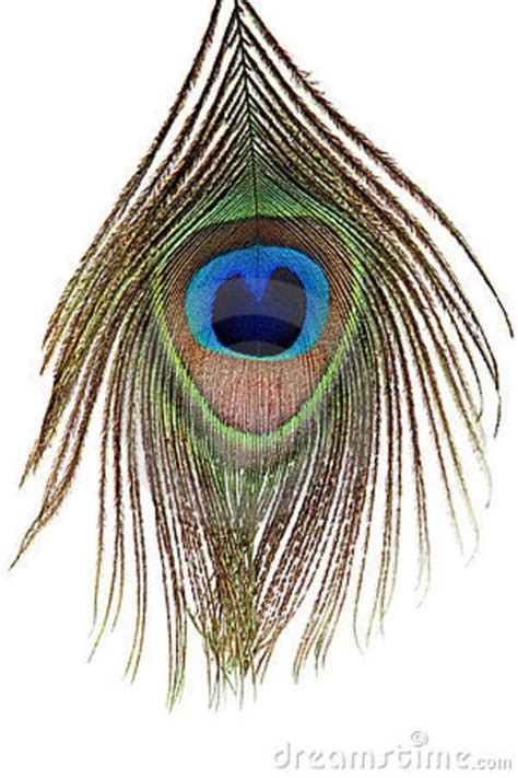 Detail of peacock feather eye | Peacock feather tattoo, Feather tattoo ...