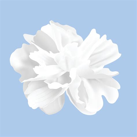 Vector floral on white background design 30718384 Vector Art at Vecteezy