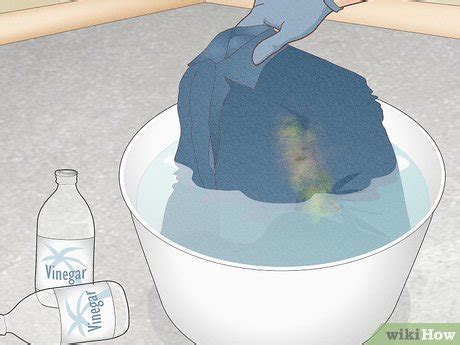 Got Mold? How to Clean Mold with Vinegar and Baking Soda