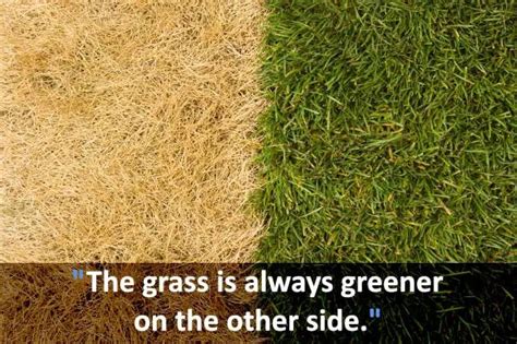 The Grass Is Always Greener On The Other Side | Phrases