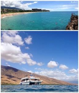 Maui Snorkeling | Photos & Local Tips for snorkeling in Maui