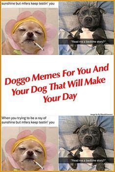 Doggo memes for you and your dog that will make your day – Artofit