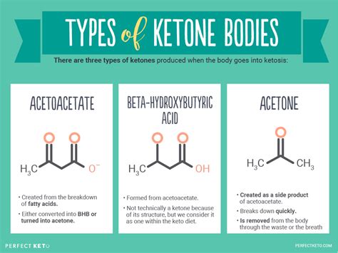 What Are Ketones? - Perfect Keto Exogenous Ketones