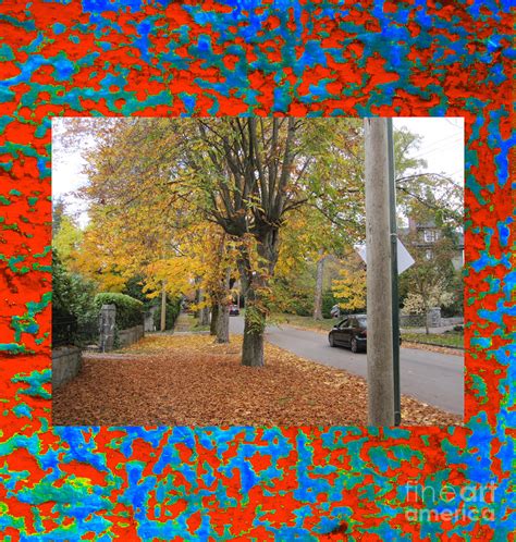 Beautiful Urban Forest # 6 Digital Art by Bauhaus Press - Fine Art America