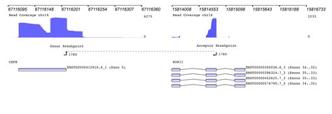 Improving the Sensitivity of Gene Fusion Detection from Archer ...