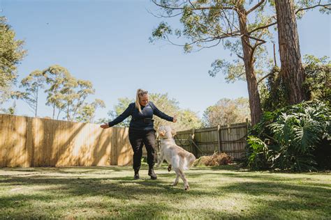 Professional Dog Boarding in Perth | Hanrob Pet Hotels