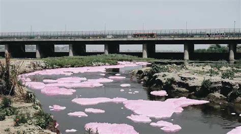 Delhi: 100 of 156 drains in catchment of river Yamuna ‘are not meeting ...