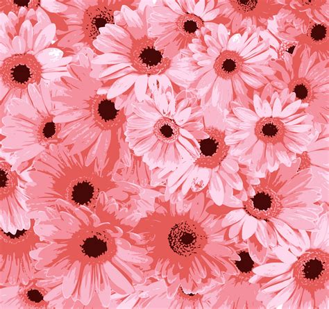 Pink Flowers Background Free Stock Photo - Public Domain Pictures