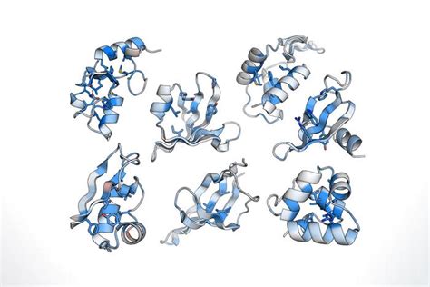 Protein Folding Stability at Large Scale