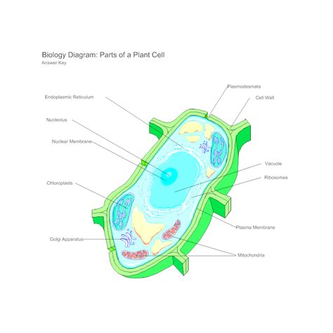 Plant Cell Diagram | Plant cell diagram, Cell diagram, Biology diagrams