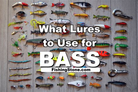 Fishing For Bass 2 Things You Should Know to Catch Them - FishingStone