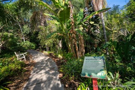 San Diego Botanic Garden in Encinitas - California Through My Lens